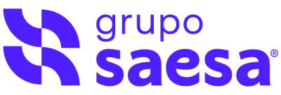 Grupo Saesa